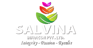 PARVAA Concepts interior design studio and projects